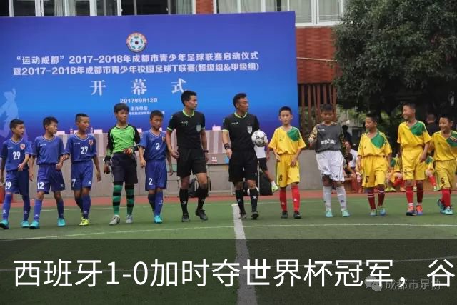 西班牙1-0加时夺世界杯冠军，谷歌Gemini成AI预测唯一失误模型