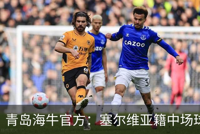 青岛海牛官方：塞尔维亚籍中场球员图费格季奇加盟球队