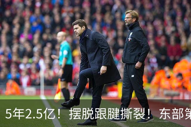5年2.5亿！摆脱跟腱撕裂！东部第一组织控卫